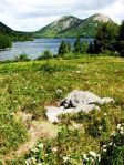 Jordan Pond, Acadia National&nbsp;Park