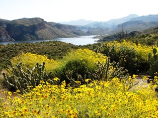 Along the Apache Trail