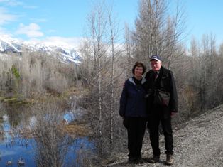 Along the Snake River, GTNP