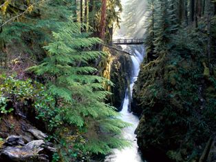 Olympic National Park-Sol Duc Falls