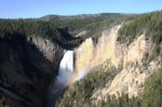 Yellowstone Falls