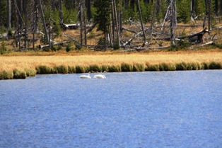 Yellowstone Cascade Lake