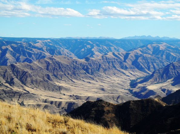 Buckhorn Canyon Overlook