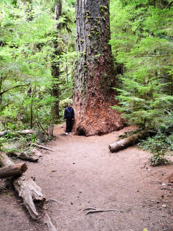Along the trail to Marymere Falls