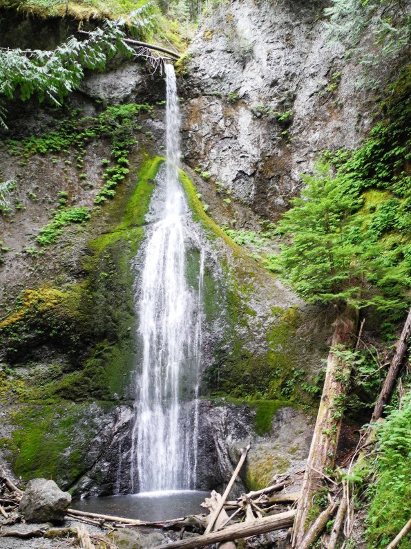 Marymere Falls, Olympic National Park