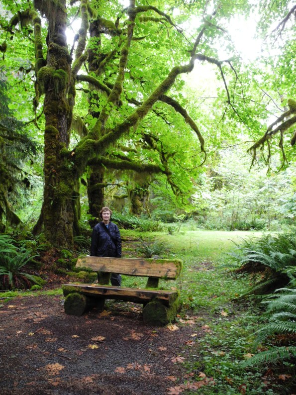 On the trail in Quinault