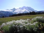 Mt. Ranier