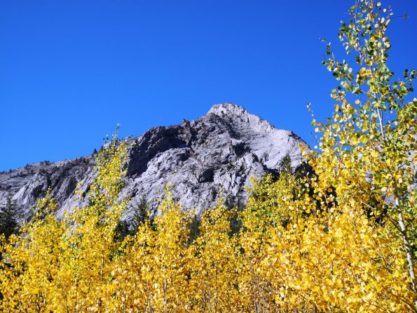 Hurricane Creek Trail