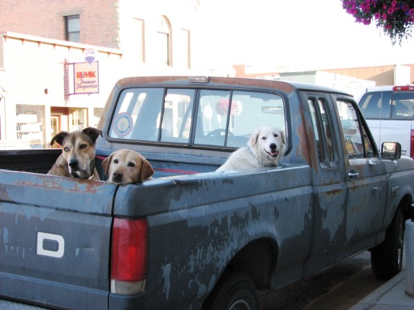 Just a regular Saturday night in downtown Red Lodge