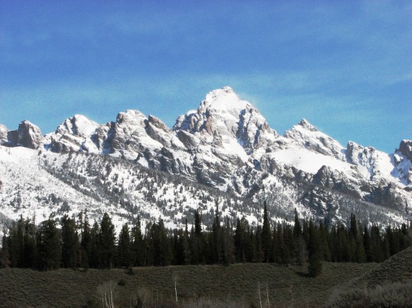 From the trail along the Moose Wilson Rd