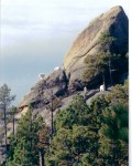 Mt Rushmore goats