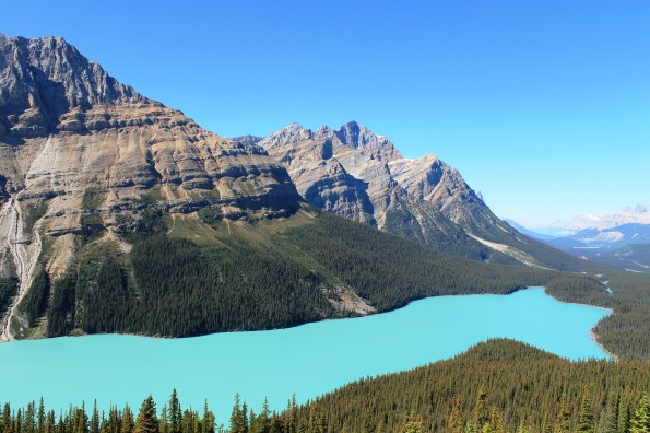 Peyto Lake