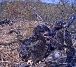 Codi and Val at end of&nbsp;April