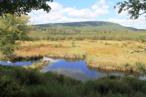 Along the Blackwater River