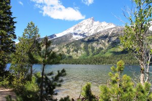 South Jenny Lake Trail