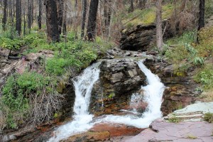 Baring Falls, Glacier Park