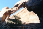 arches-oct-2000043