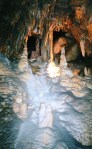 mammoth-cave-april-2003060