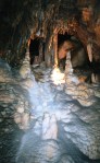mammoth-cave-april-2003061