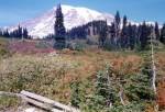 mt-ranier-sept-1991090