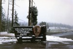ynp-9-96016
