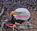 0201 909am (2) –&nbsp;Copy