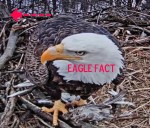 0201 909am (3) –&nbsp;Copy