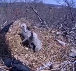 Codi and Val at the&nbsp;edge