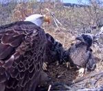 Doesn’t look so good to me,&nbsp;Mom