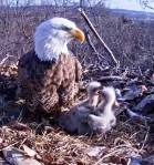 First display of sibling&nbsp;rivalry