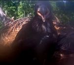 Can you see me&nbsp;now?