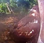 I’m taking a&nbsp;break