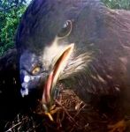 Checking out the&nbsp;camera