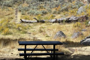 Yellowstone River Picnic Area