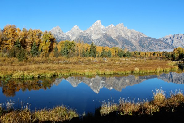 Schwabacher Landing
