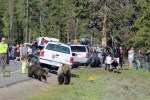 May 26 2018 bear&nbsp;jam