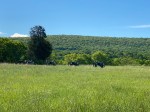 img_0215