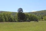 img_1497-1