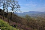 img_1958
