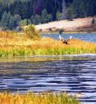 Sept 2009 Two Ocean&nbsp;Lake